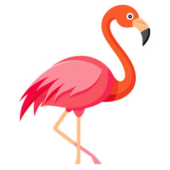 flamingo vector illustration