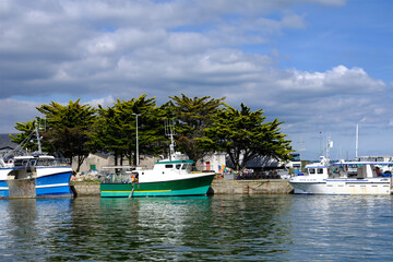 Fishing port and pine trees of Le Croisic, a commune in the Loire-Atlantique department, western France. It is part of the urban area of Saint-Nazaire 