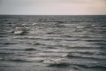 activity, adventure, backpack, balance, boy, boyhood, calm, calmness, casual, casual wear, cautious, cautiousness, child, childhood, climbing, earthy, environment, exploration, field, focus, forest, f