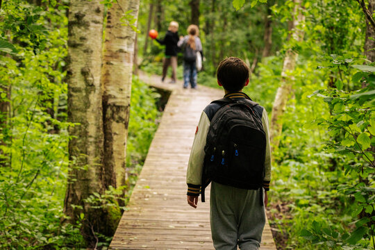 Children exploring a lush green forest, walking and leaning on a wooden boardwalk path surrounded by trees and foliage in a peaceful natural setting.