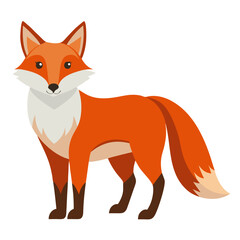 red fox vector illustration