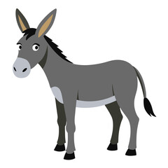 donkey isolated on white