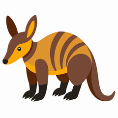 kangaroo vector illustration