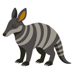 kangaroo vector illustration