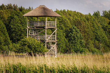 A rustic wooden observation tower with a thatched roof stands in a grassy field beside a leafy tree...