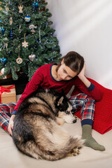 girl with husky dog in pajamas by Christmas tree with gift boxes. Holiday comfort at home.