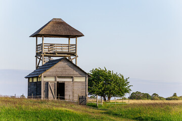 A rustic wooden observation tower with a thatched roof stands in a grassy field beside a leafy tree...