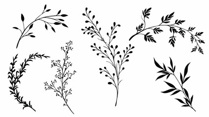 Elegant Black and White Floral Design Elements Collection