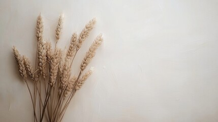 Wheat stalks arranged beautifully against a neutral backdrop evoke a sense of natural simplicity and calm in decor