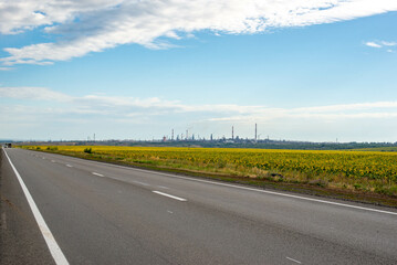 Beautiful road and fields green and yellow