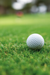 Obraz premium Close up golf ball on green grass field