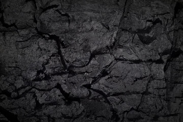 Texture of black tree bark, trunk, coal background. Dark wallpaper with rough cracked texture....