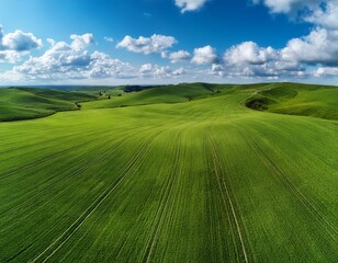Obraz premium beautiful grassy field with a blue sky and white clouds in the background the green meadow is seen from above creating an endless horizon