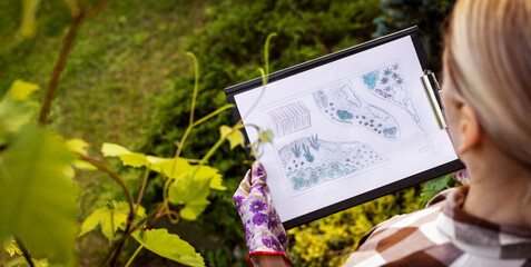 landscape design. woman gardener looking at ornamental garden plan. banner with copy space
