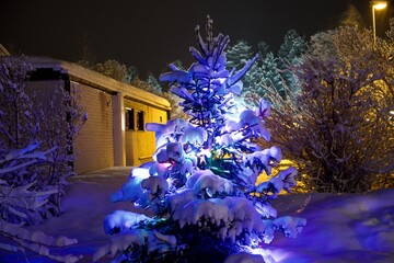 christmas tree with lights outside at night