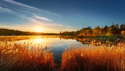 Obraz premium a picturesque quarry lake with reeds in the golden sunlight the bulrushes on the lake reed in a evening light on a calm lake