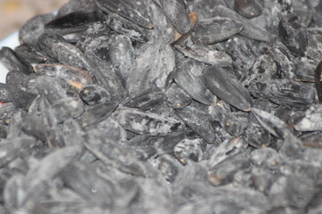 Sunflower Seeds Close Up