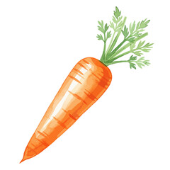 Single Carrot Isolated on Transparent PNG Background- Watercolour Art