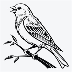 Blue Jay line art White background illustration Generative Ai