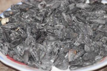 Sunflower Seeds Close Up