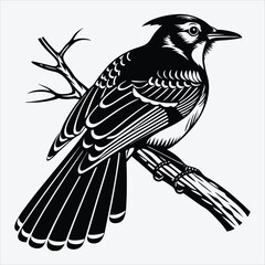 Blue Jay line art White background illustration Generative Ai