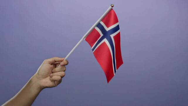 Hand holding a norwegian flag against a purple background, symbolizing national pride and identity.