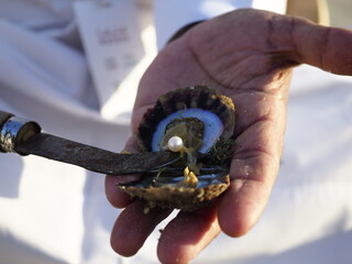 Hand opens oyster, revealing luminous white pearl inside.