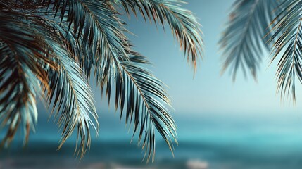 Fototapeta premium Minimal tropical background with palm leaves, blurred ocean and sky gradient behind