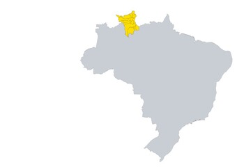 Obraz premium Mapa de los municipios del estado de Roraima en Brasil