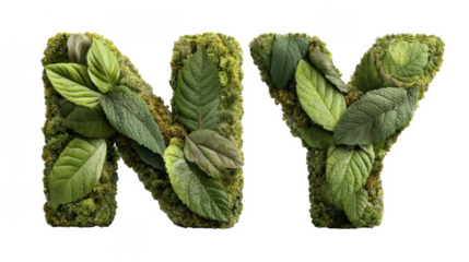 Ny letters made of mint leaves and moss isolated on transparent background