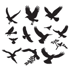 Obraz premium Bird Silhouette Set in Flight and Perch