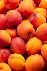 Ripe fresh  fruits of apricot, food background. Selective focus. Vertical image.