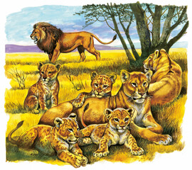 Lions pride resting in the savanna with cubs playing and adult male standing guard