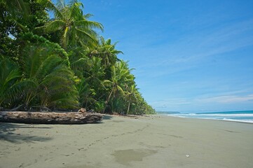 Playa Carate beach at the Osa peninsula in Costa Rica