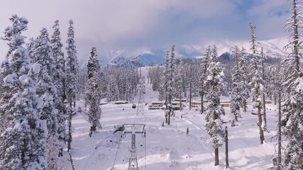 Drone footage showing gondola cutting across winter mist and white pine forest. - Powered by Adobe
