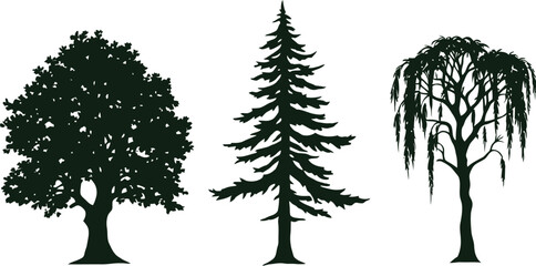 Tree Silhouette Symbol Set Featuring Three Distinct Tree Shapes: A Dense Canopy Deciduous Tree, a Tall Coniferous Pine, and a Graceful Willow with Drooping Branches—Representing Botanical Diversity, 