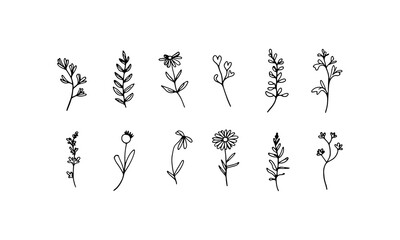 Botanical Line Flower. Elegant botanical flower arrangement drawn with fine lines and natural detail.