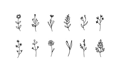 Minimal Botanical Sprigs. A soft set of fine floral sprigs, perfect for logo accents, invitation design, or natural stationery.