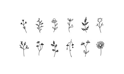 Obraz premium Clean Floral Repeats. A balanced collection of repeated floral icons in soft outlines, perfect for seamless patterns and surface design.