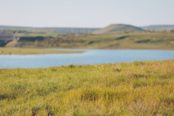 Golden field slants toward waterside, green bluffs rising along lake shoreline, soft sunlight...