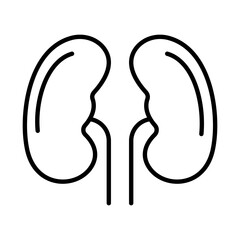 Human kidneys line art icon isolated on a white background. Minimalist vector illustration for healthcare, nephrology, anatomy, urology, medicine, and wellness design. 