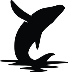 Silhouette jumping humpback whale flat design vector Illustrator