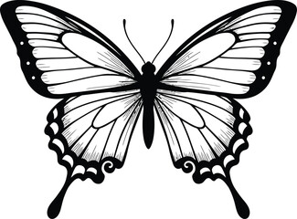 Black and white butterfly on white background. Suitable for nature and wildlife concepts