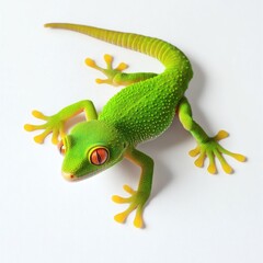 Image of a beautiful green gecko, isolated on white background. Exotic animals. Cute, cute and colorful pets