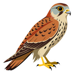 Kestrel Bird Silhouette Vector