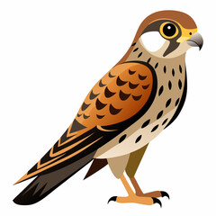 Kestrel Bird Silhouette Vector