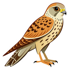 Kestrel Bird Silhouette Vector