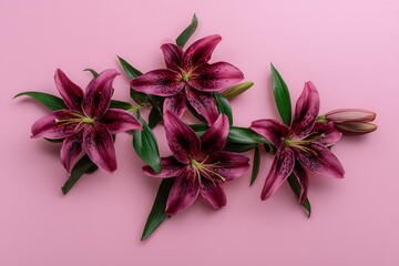 Dark purple lilies on pink