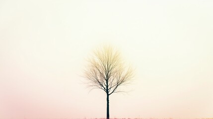 A solitary bare tree stands against a soft, hazy sky.