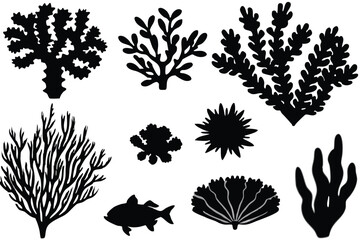 Seaweed and coral silhouettes. Underwater coral reef illustration in a hand drawn style. Illustration of marine aquarium plants.